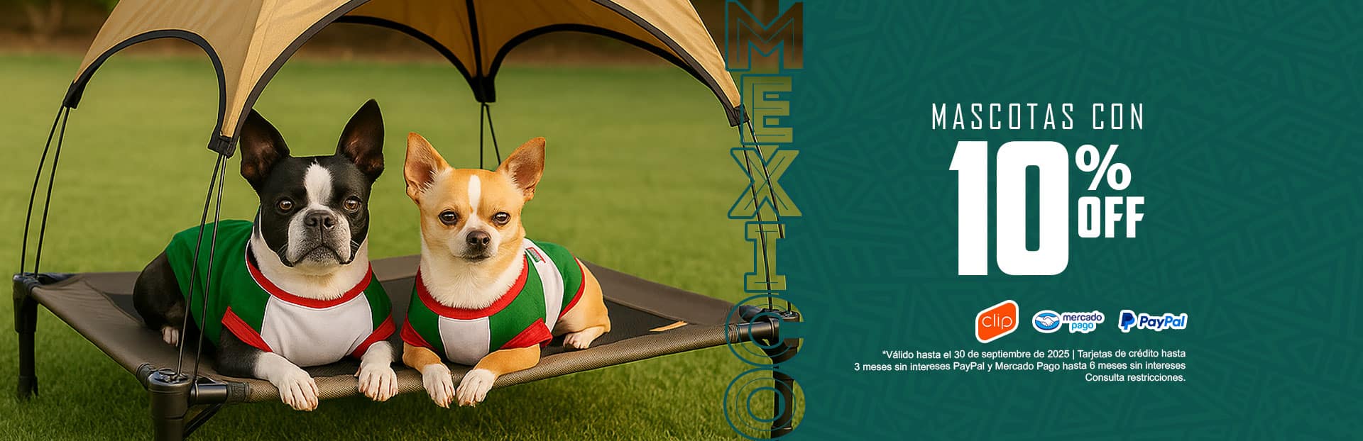 https://innerhome.mx/wp-content/uploads/2025/09/Mascotas-sept-2025.jpg